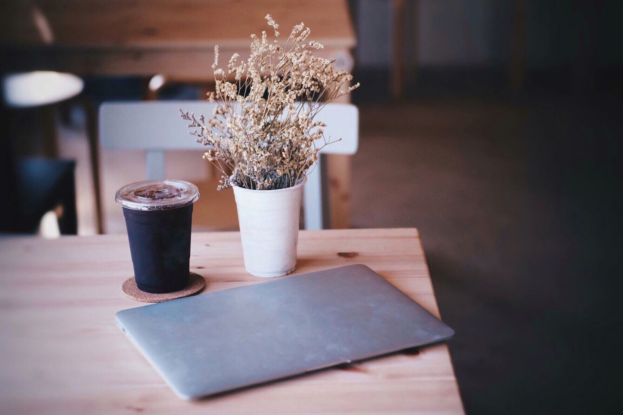 High angle view of laptop with coffee cup and plant on table