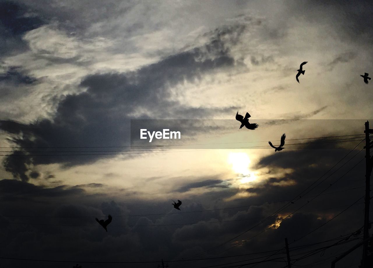 Low angle view of silhouette birds flying in cloudy sky