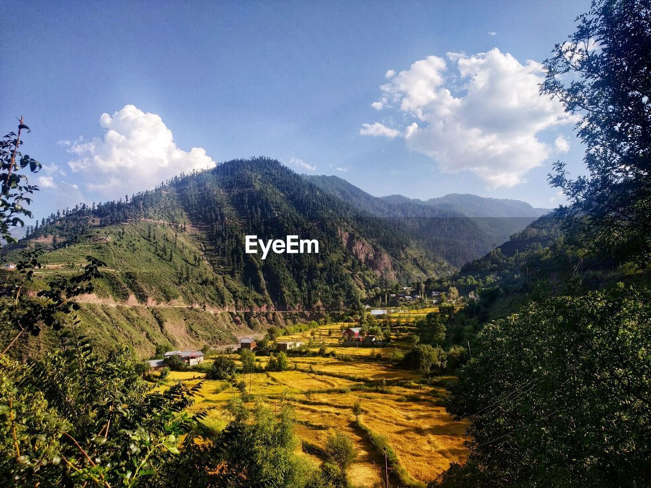 SCENIC VIEW OF AGRICULTURAL LANDSCAPE AGAINST SKY