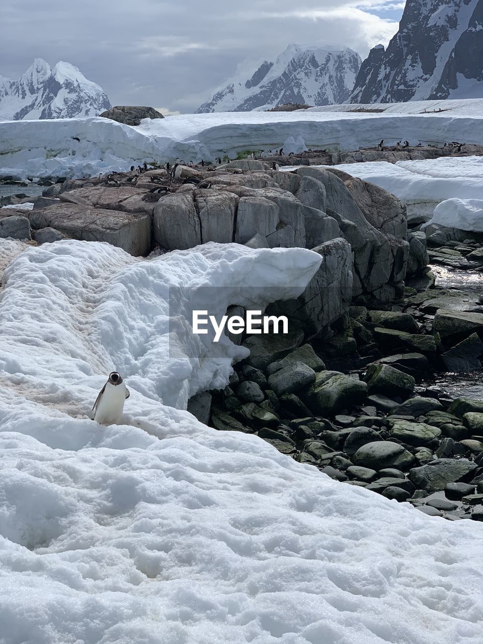 Man sitting on snow