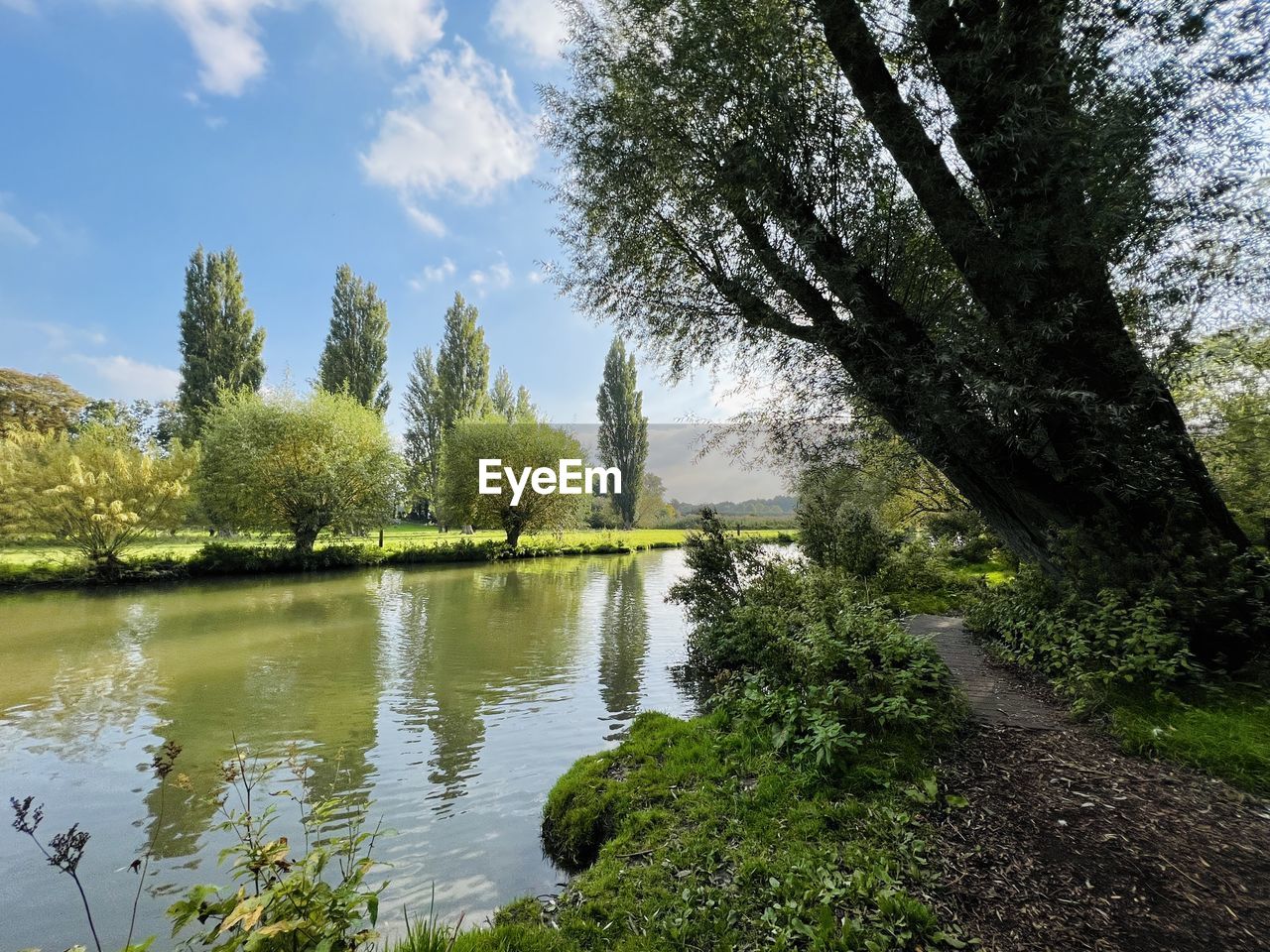 SCENIC VIEW OF LAKE AND TREES AGAINST SKY