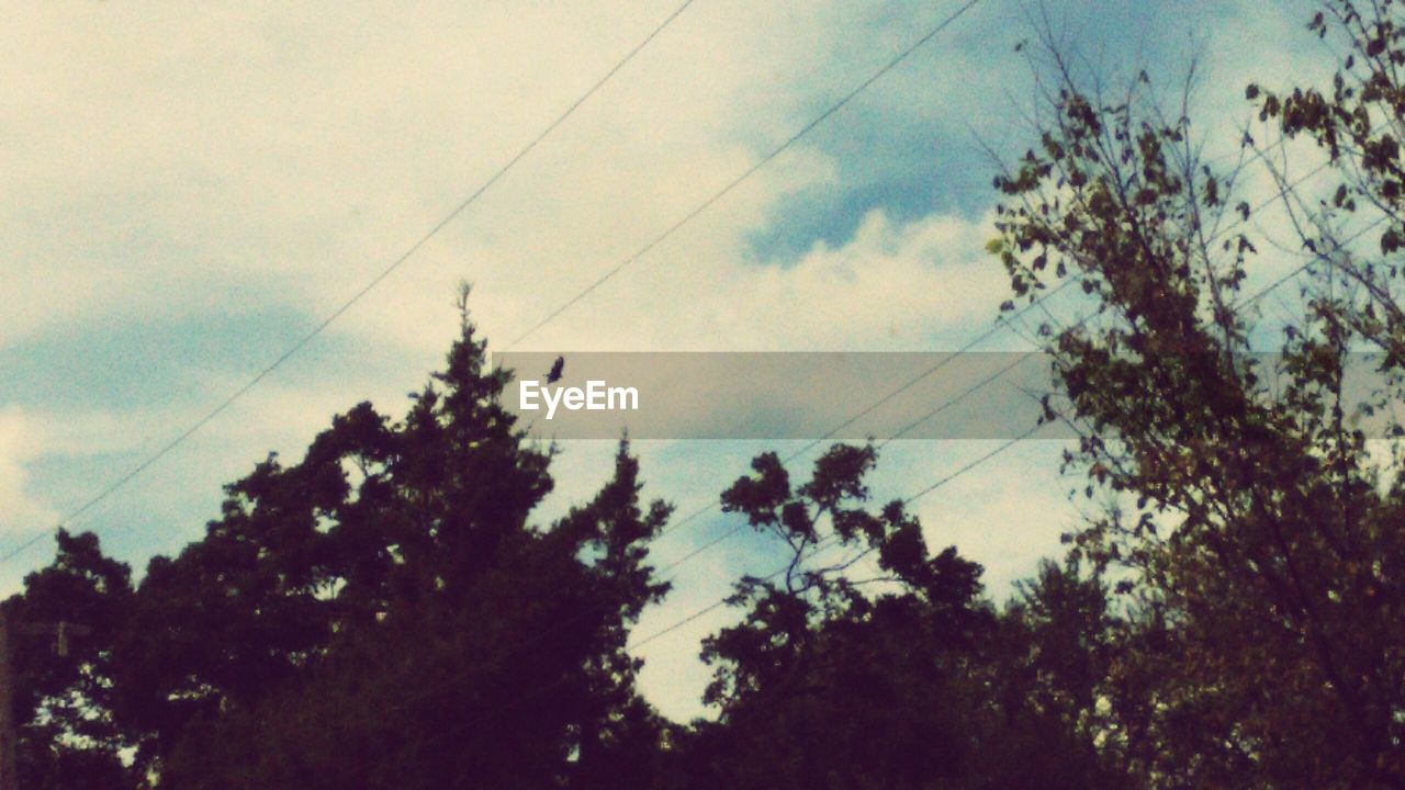 LOW ANGLE VIEW OF POWER LINES AGAINST CLOUDY SKY