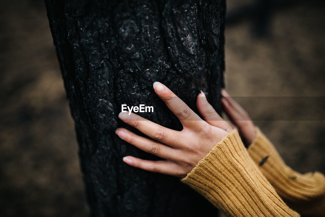 Close-up of hand on tree trunk