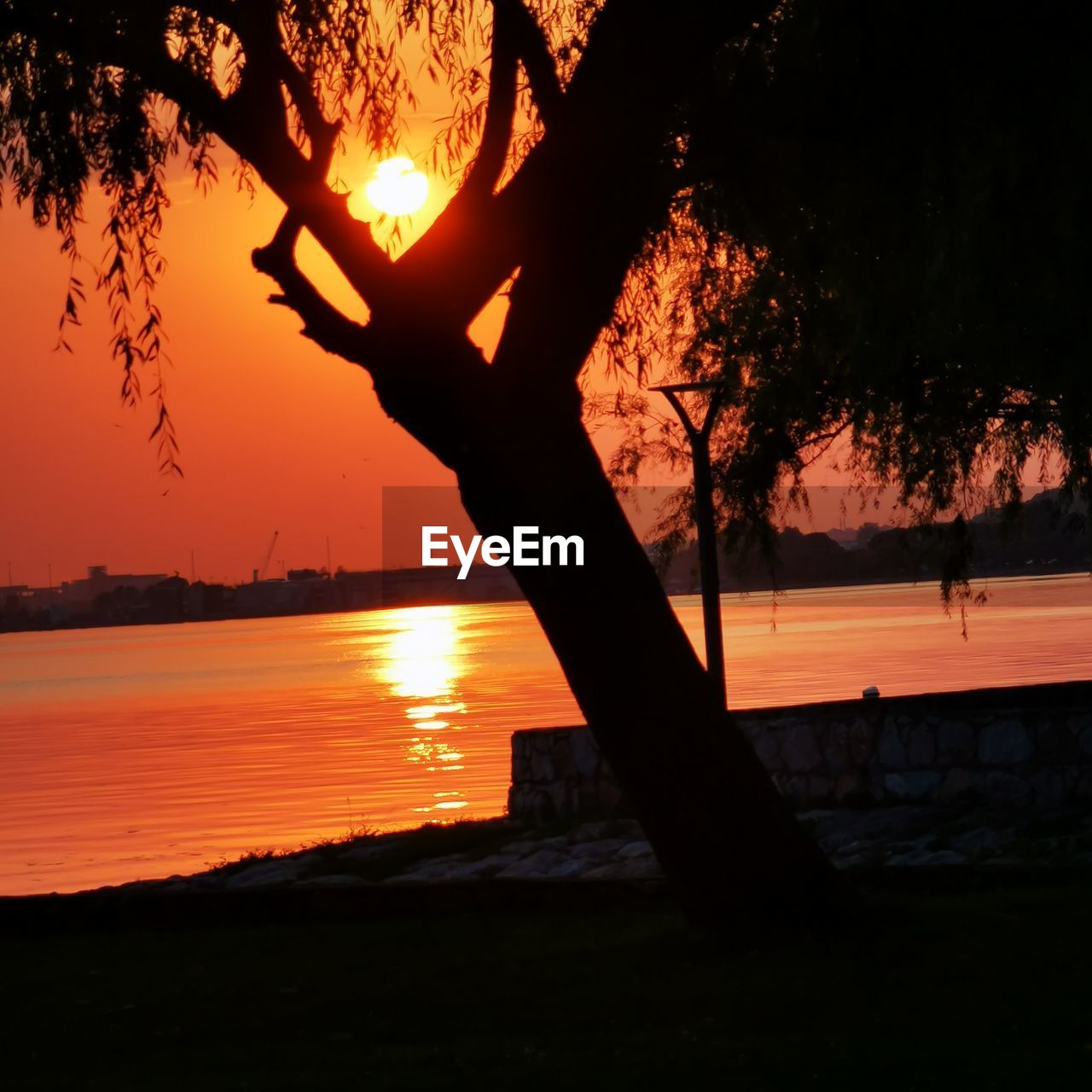 SILHOUETTE TREE BY LAKE AGAINST ORANGE SKY