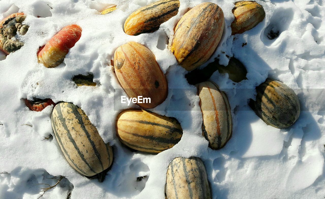 Directly above shot of squashes on snow covered field