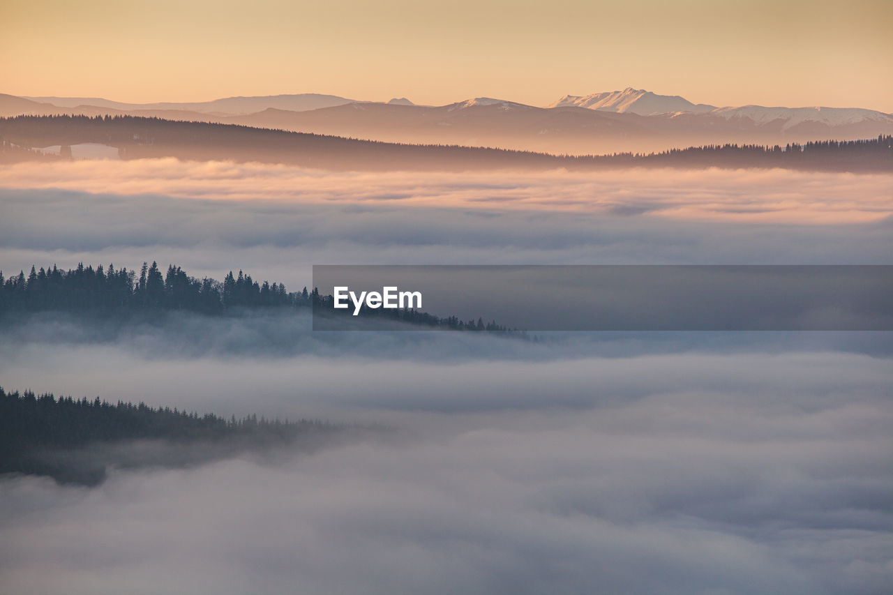 Winter landscape from rodnei mountain. a cold foggy morning with heavy snow.