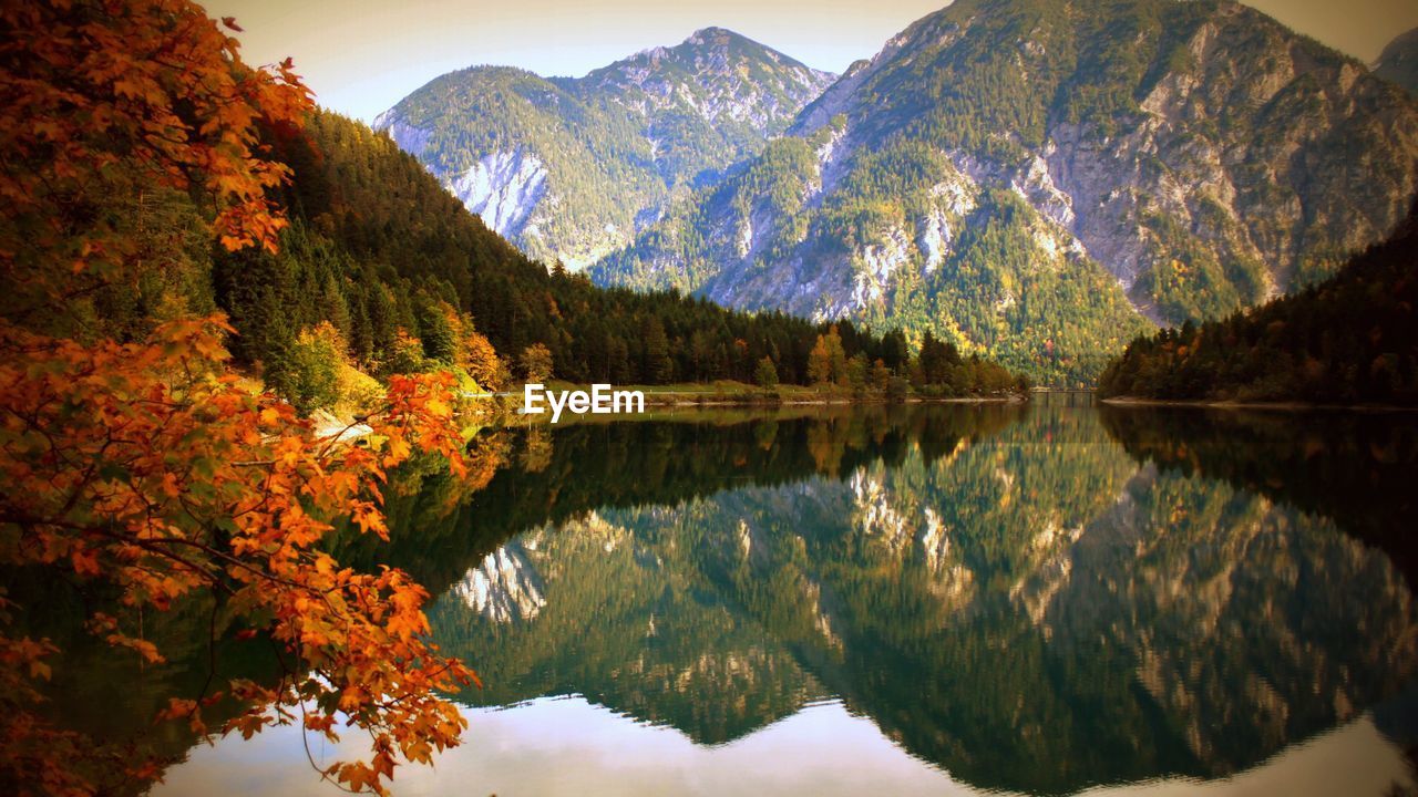 Reflection of trees in lake during autumn