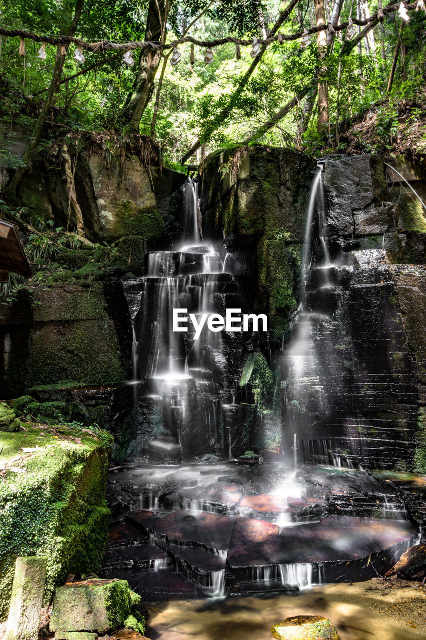 WATERFALL IN A FOREST