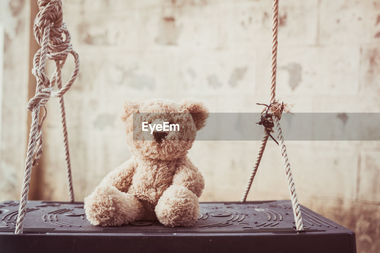 Teddy bear on swing against wall