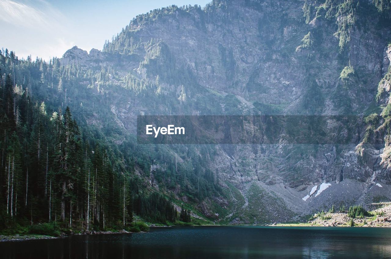 Scenic view of lake in forest