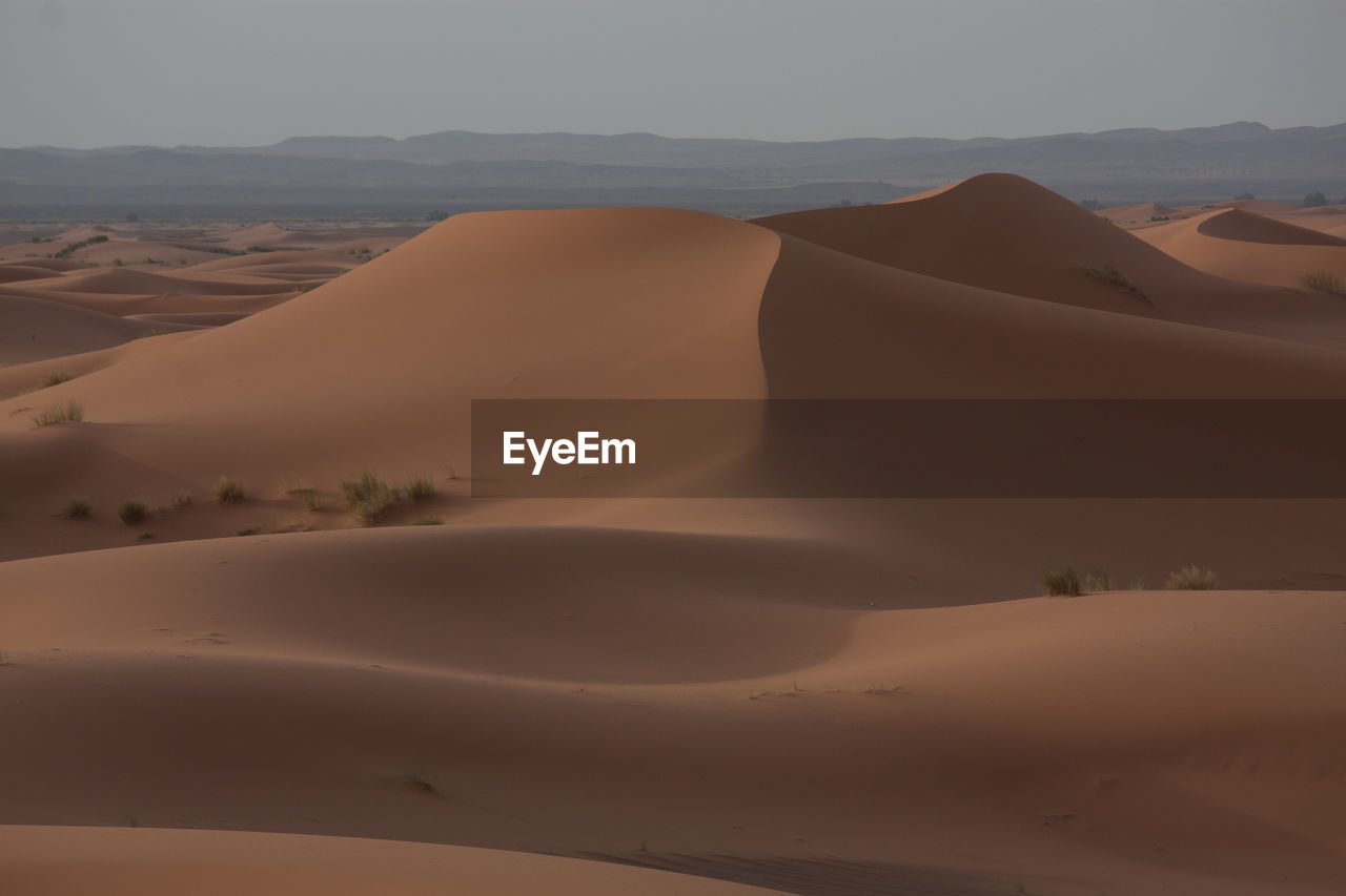 Scenic view of sand dunes in desert against clear sky