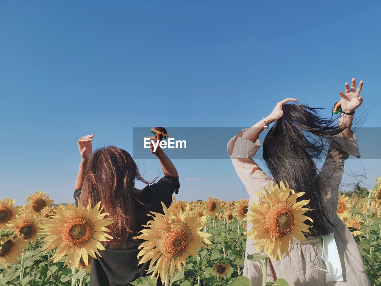 LOW ANGLE VIEW OF PEOPLE ON FLOWERING PLANTS AGAINST SKY