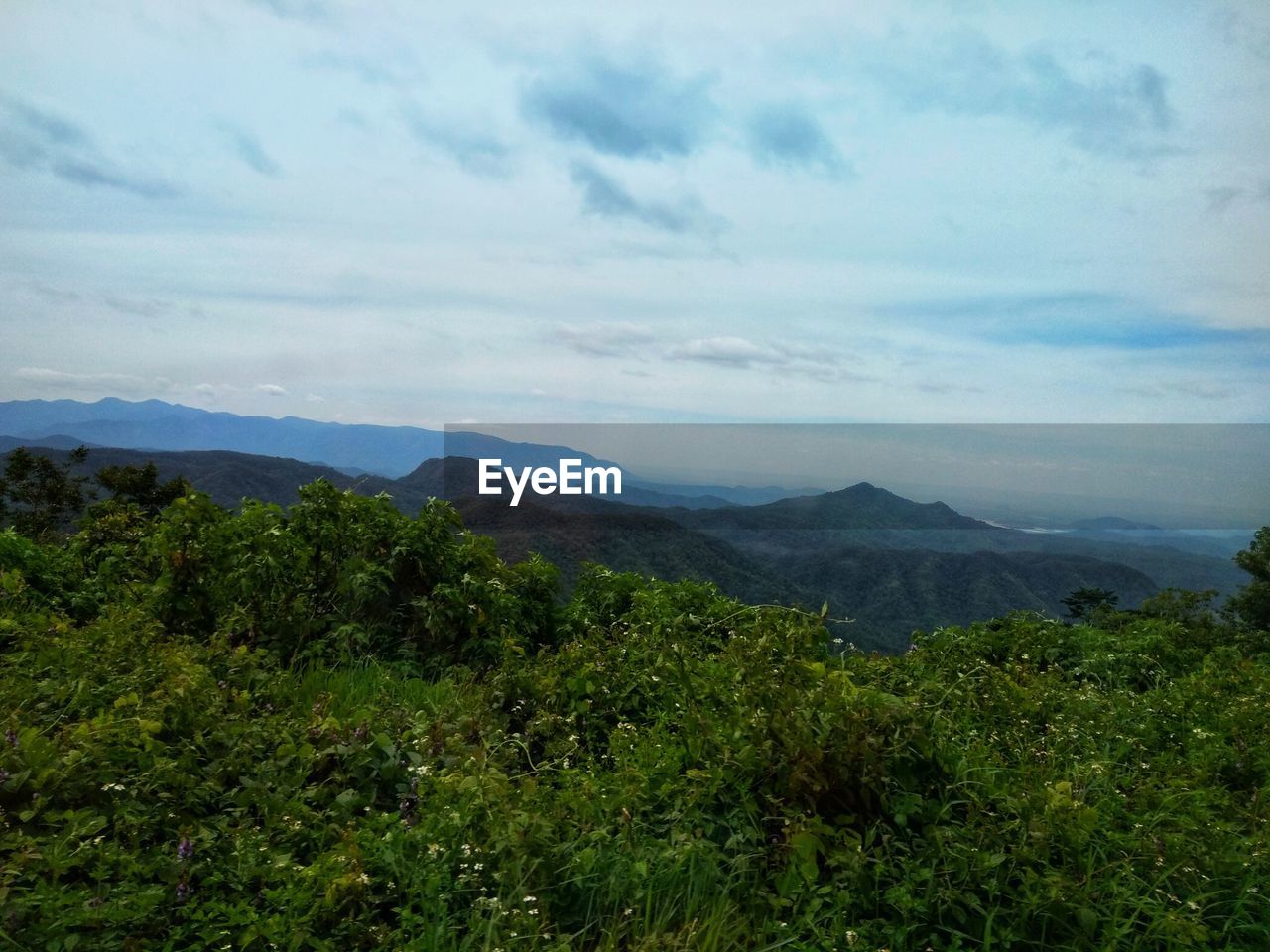 SCENIC VIEW OF TREES AND MOUNTAINS AGAINST SKY