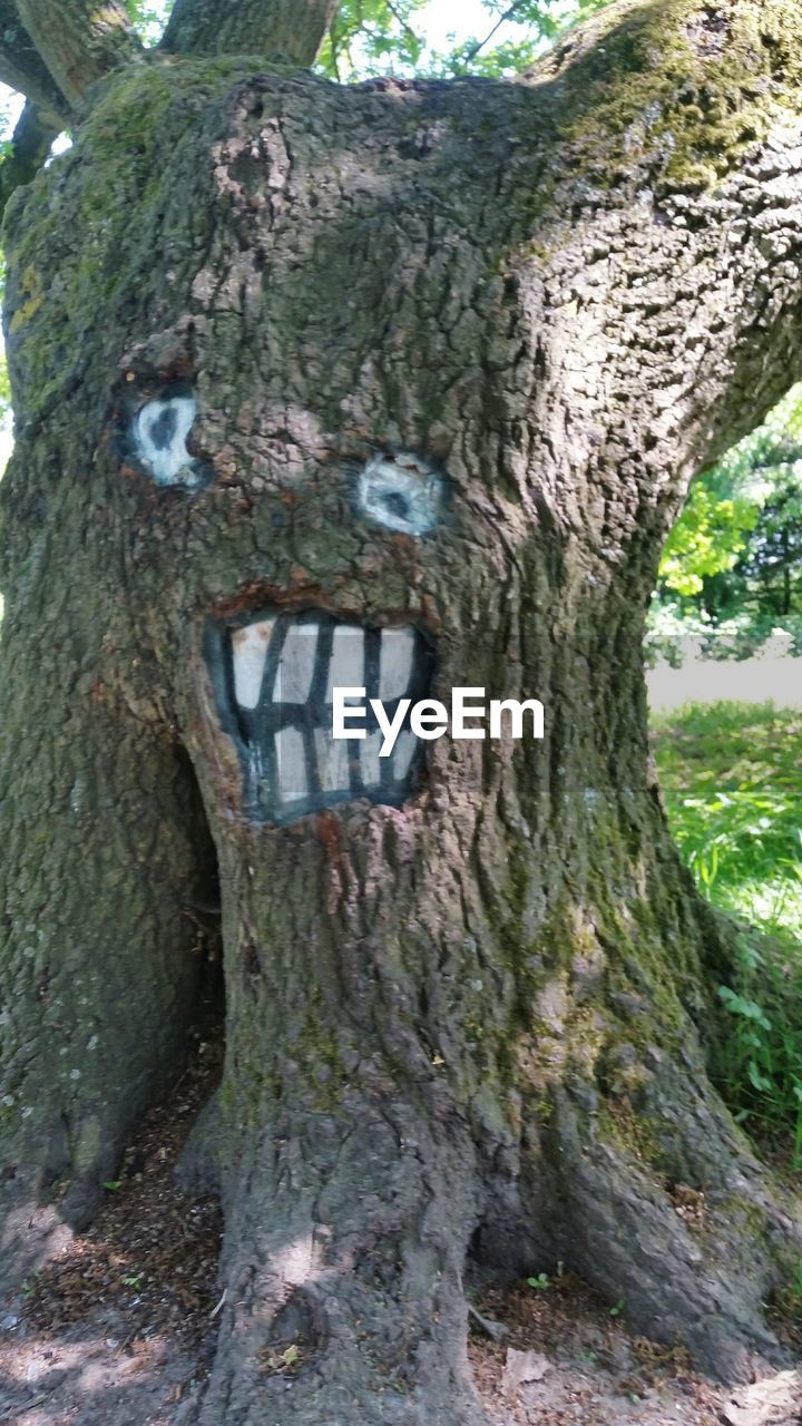 CLOSE-UP OF TREE TRUNK AMIDST PLANTS