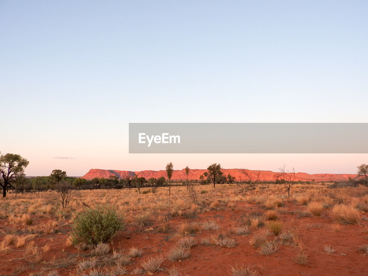 Scenic view of field against clear sky