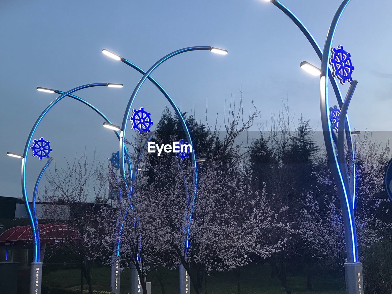 ILLUMINATED HANGING TREE AGAINST SKY