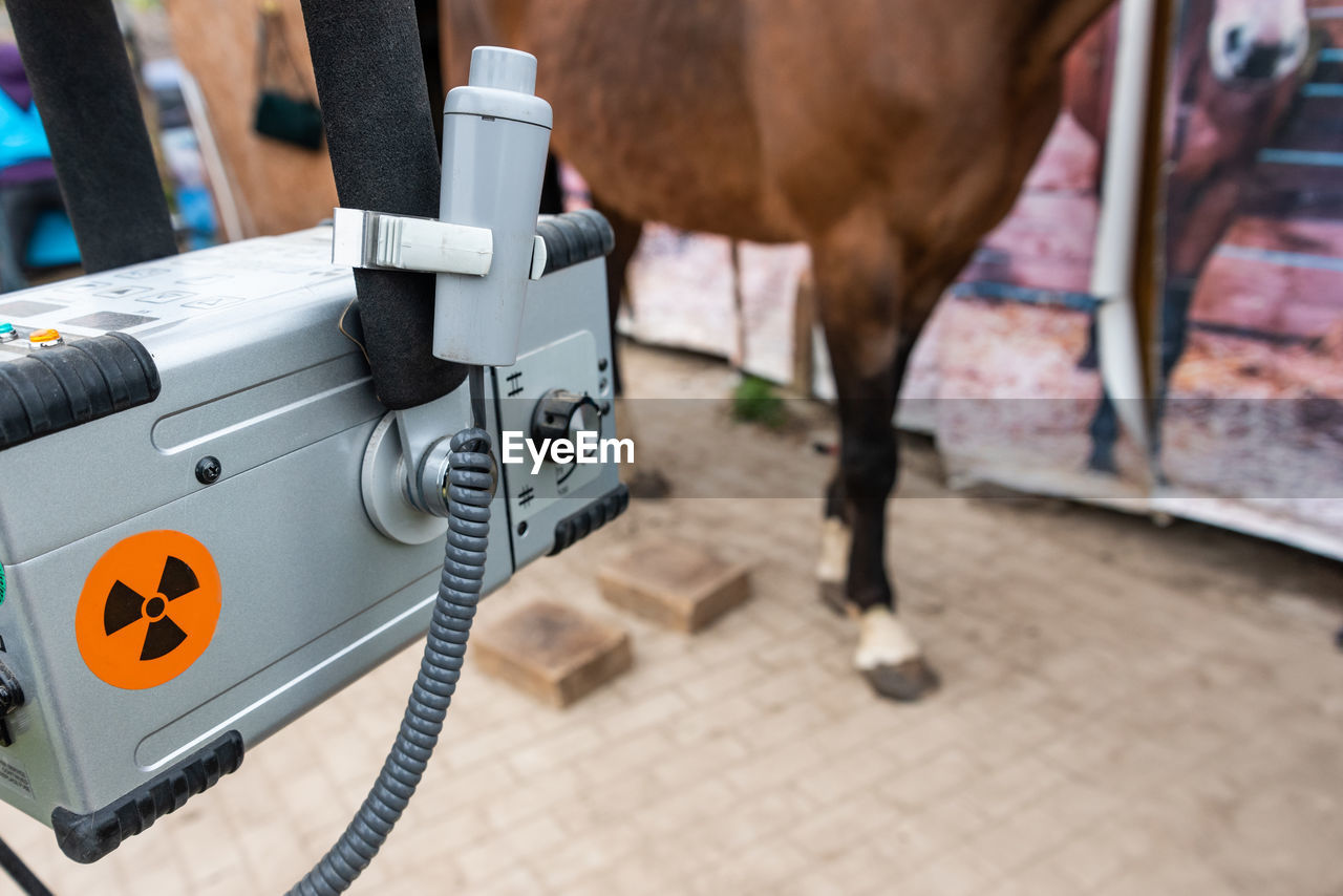 Radiographic x-ray imaging of the equine foot  provide the veterinarian and farrier wealth info