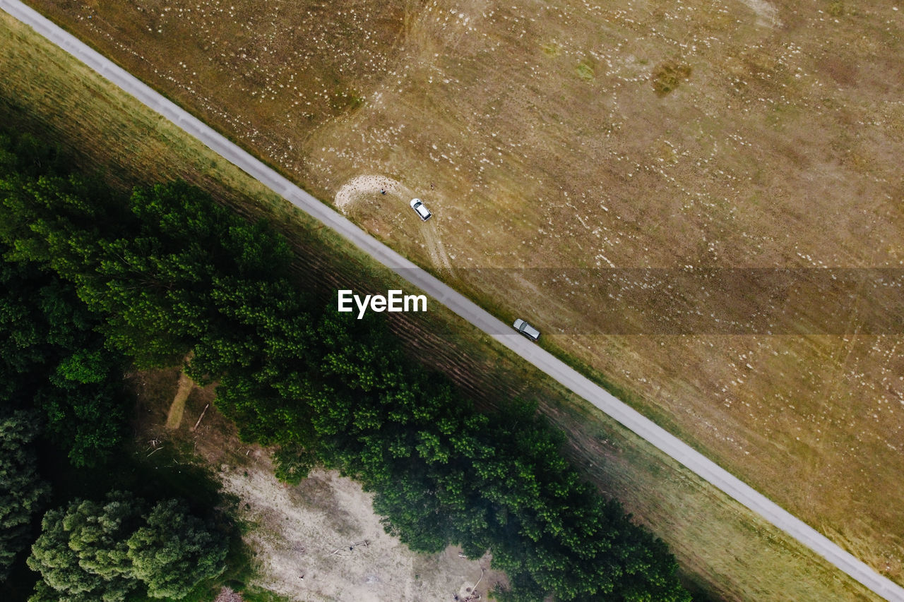 HIGH ANGLE VIEW OF ROAD BY TREES