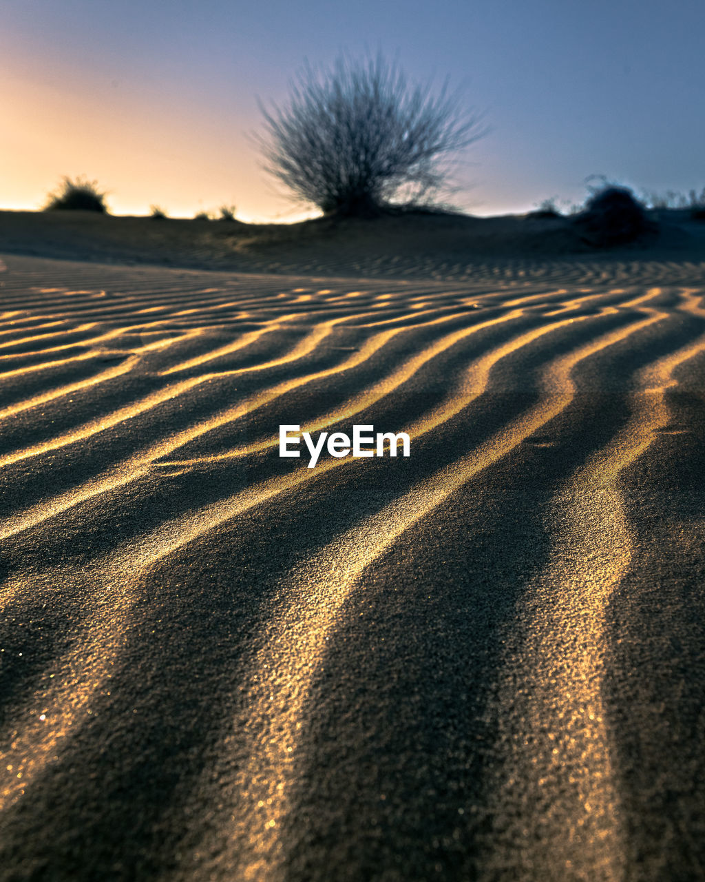 Scenic view of sand pattern on field against sky at sunset