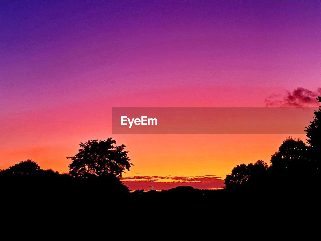 SILHOUETTE TREES AGAINST ORANGE SKY