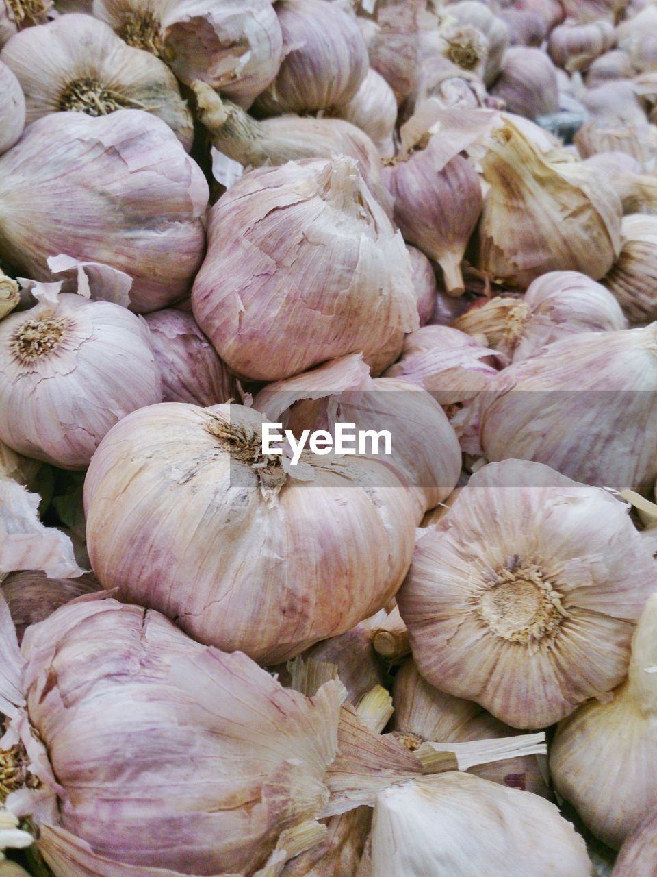 FULL FRAME SHOT OF FRESH VEGETABLES