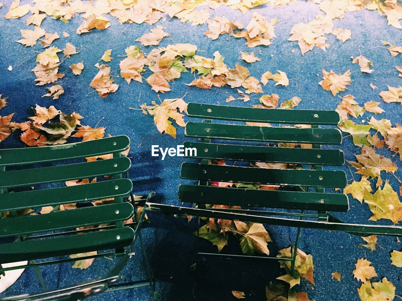 High angle view of chairs and autumn leaves on road