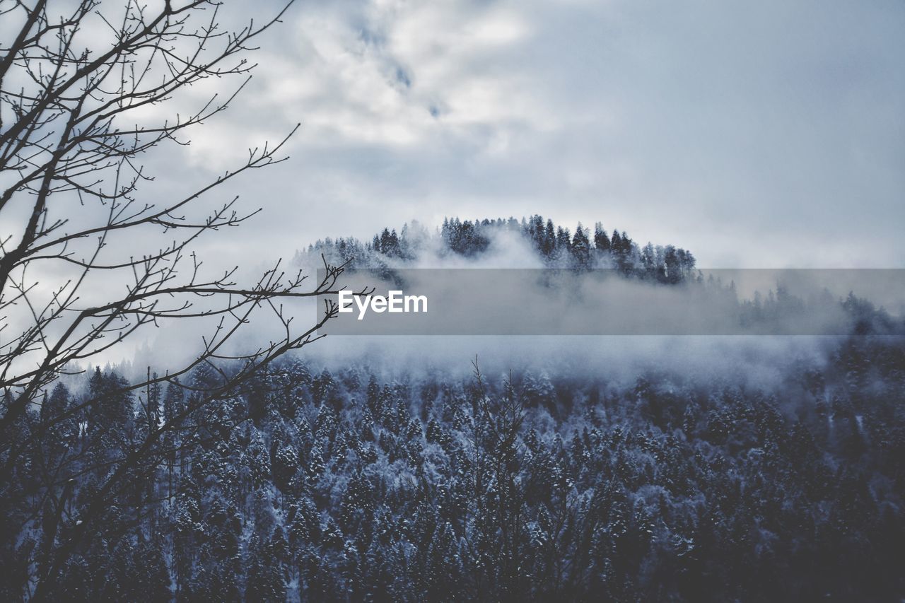 Scenic view of snow covered landscape against sky