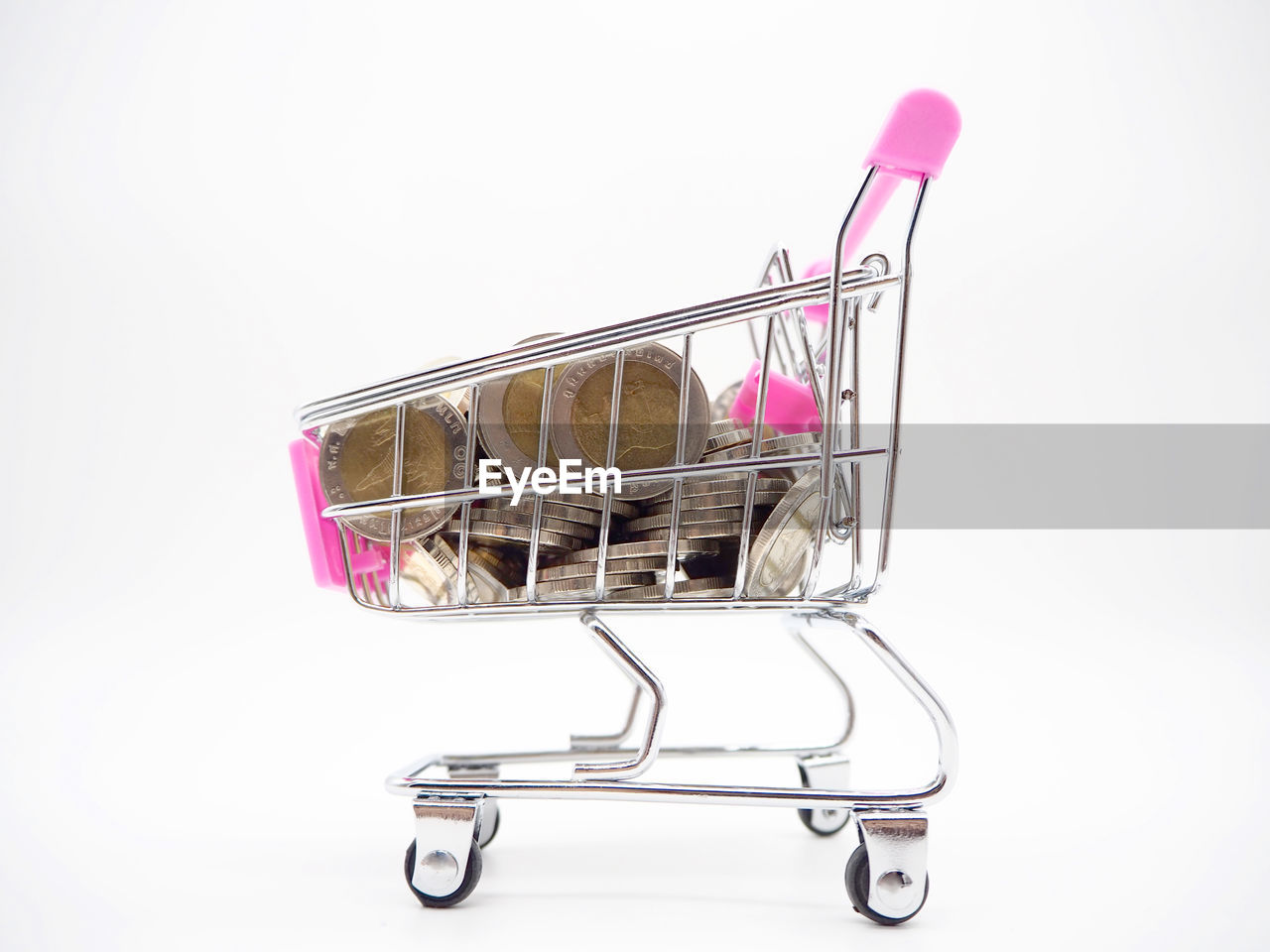 SIDE VIEW OF A BIRD ON PINK BACKGROUND