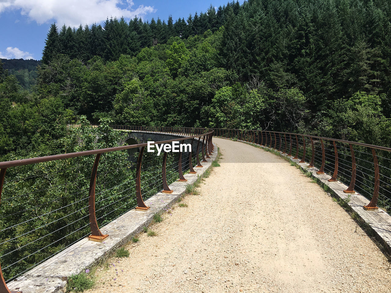 VIEW OF BRIDGE IN FOREST