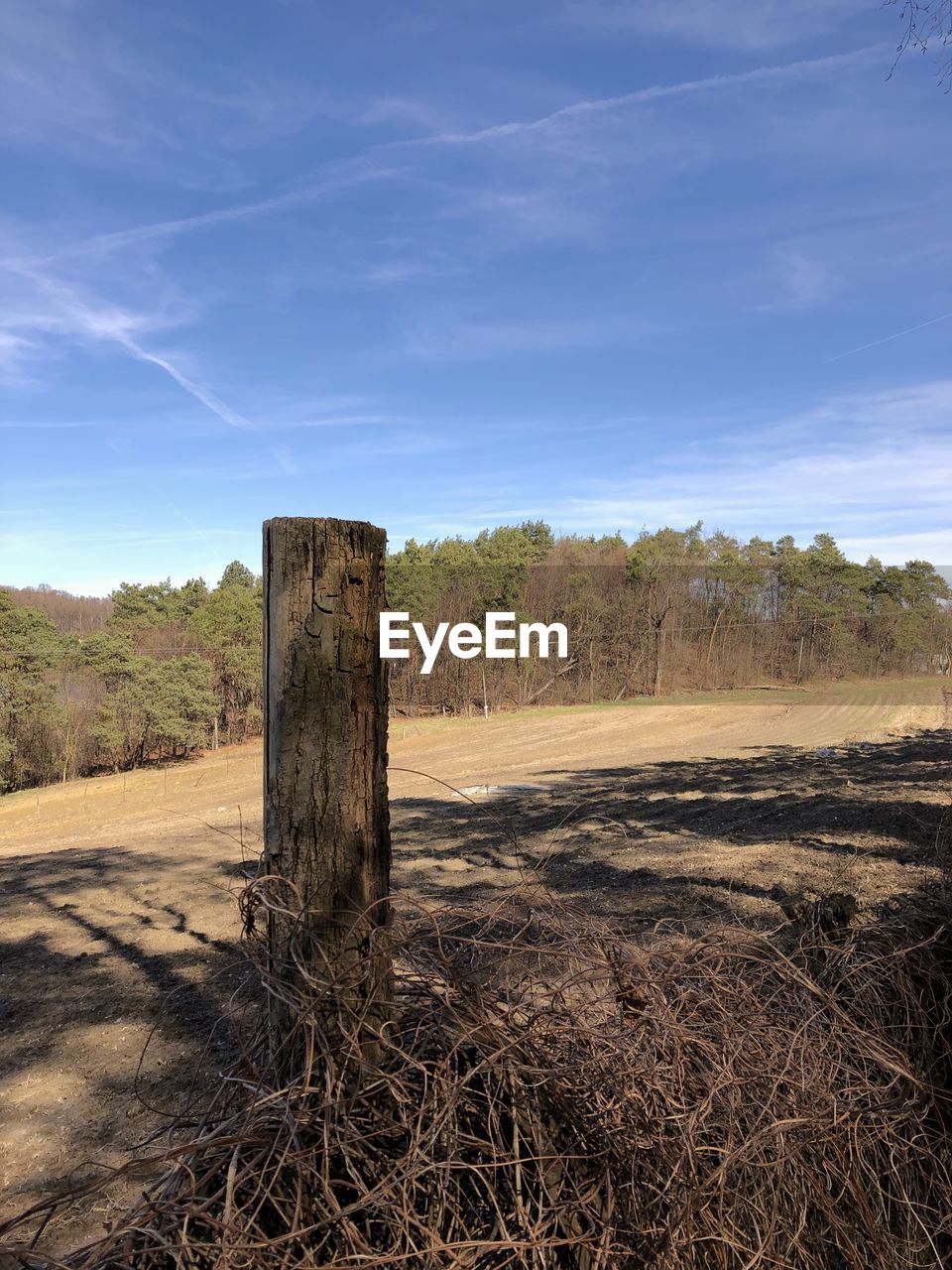 WOODEN POST ON FIELD BY TREES AGAINST SKY