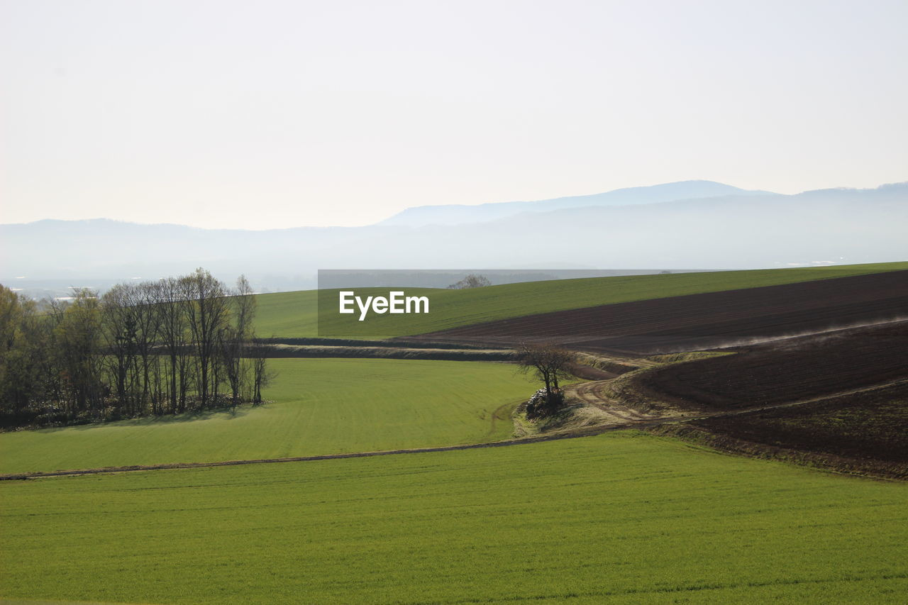 SCENIC VIEW OF FARMS AGAINST SKY