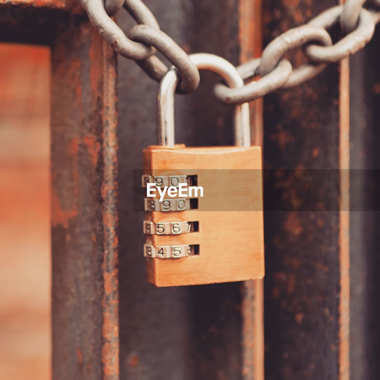 Close-up of padlock on gate