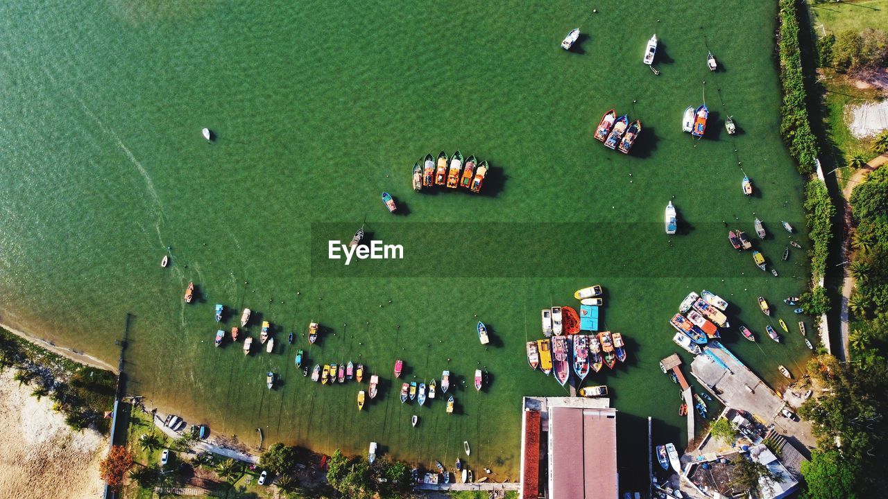 High angle view of people in water