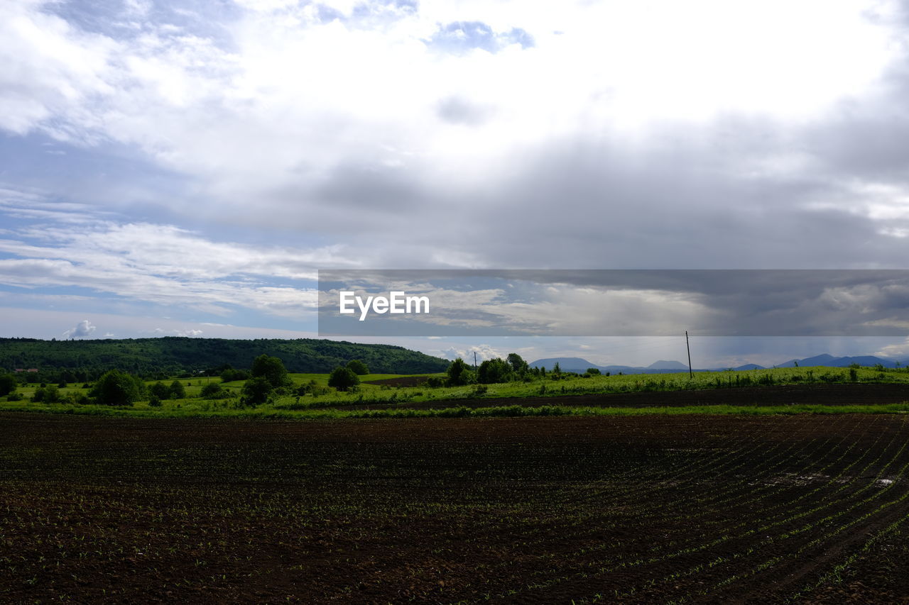 Scenic view of agricultural field against sky