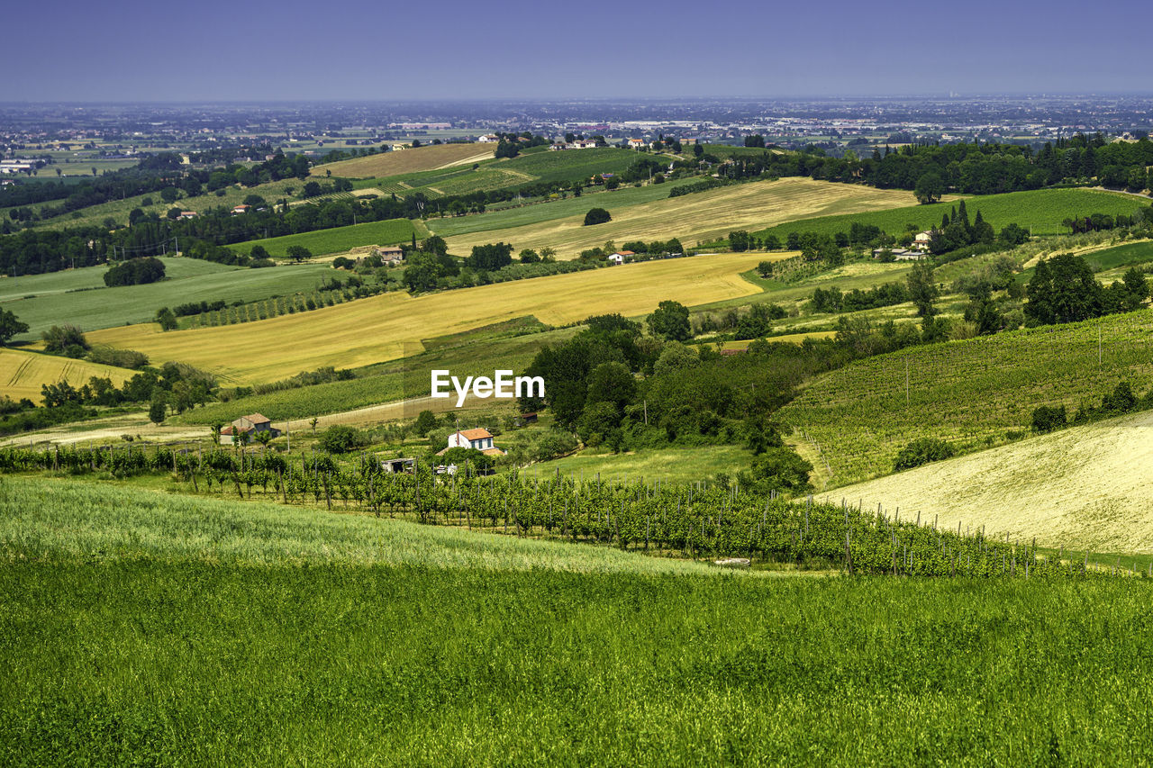 SCENIC VIEW OF FARM AGAINST SKY