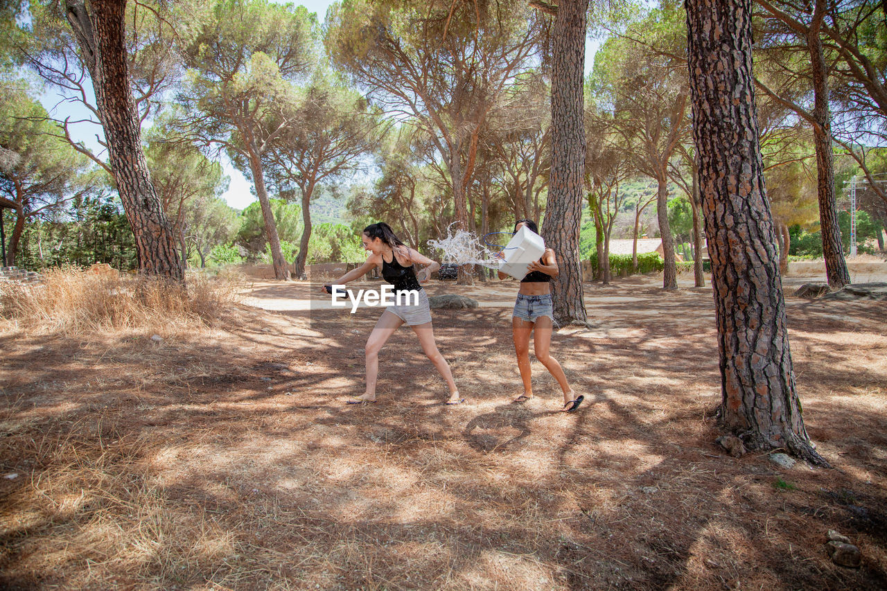 People on street amidst trees