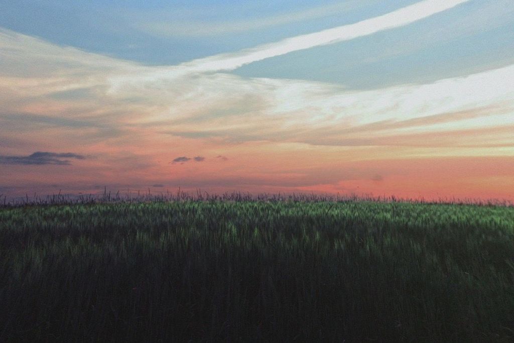 SCENIC VIEW OF LANDSCAPE AT SUNSET