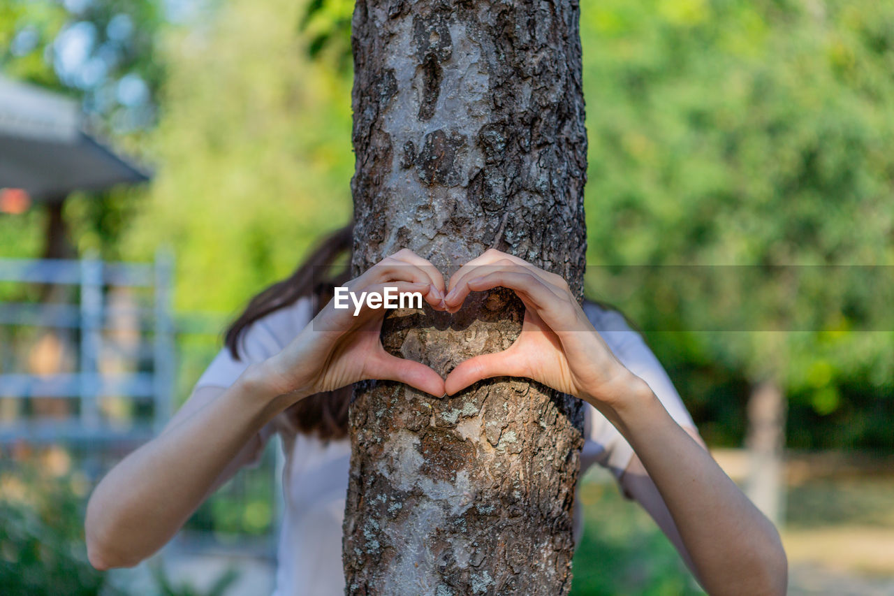 Women's hands show the heart in front of the tree trunk.