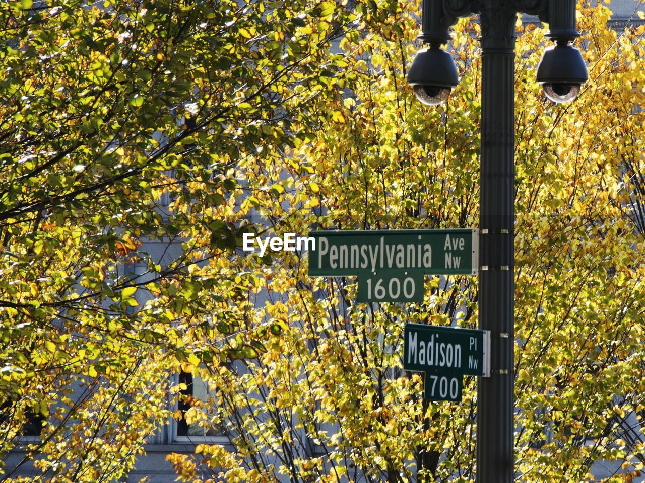 LOW ANGLE VIEW OF TEXT ON TREE