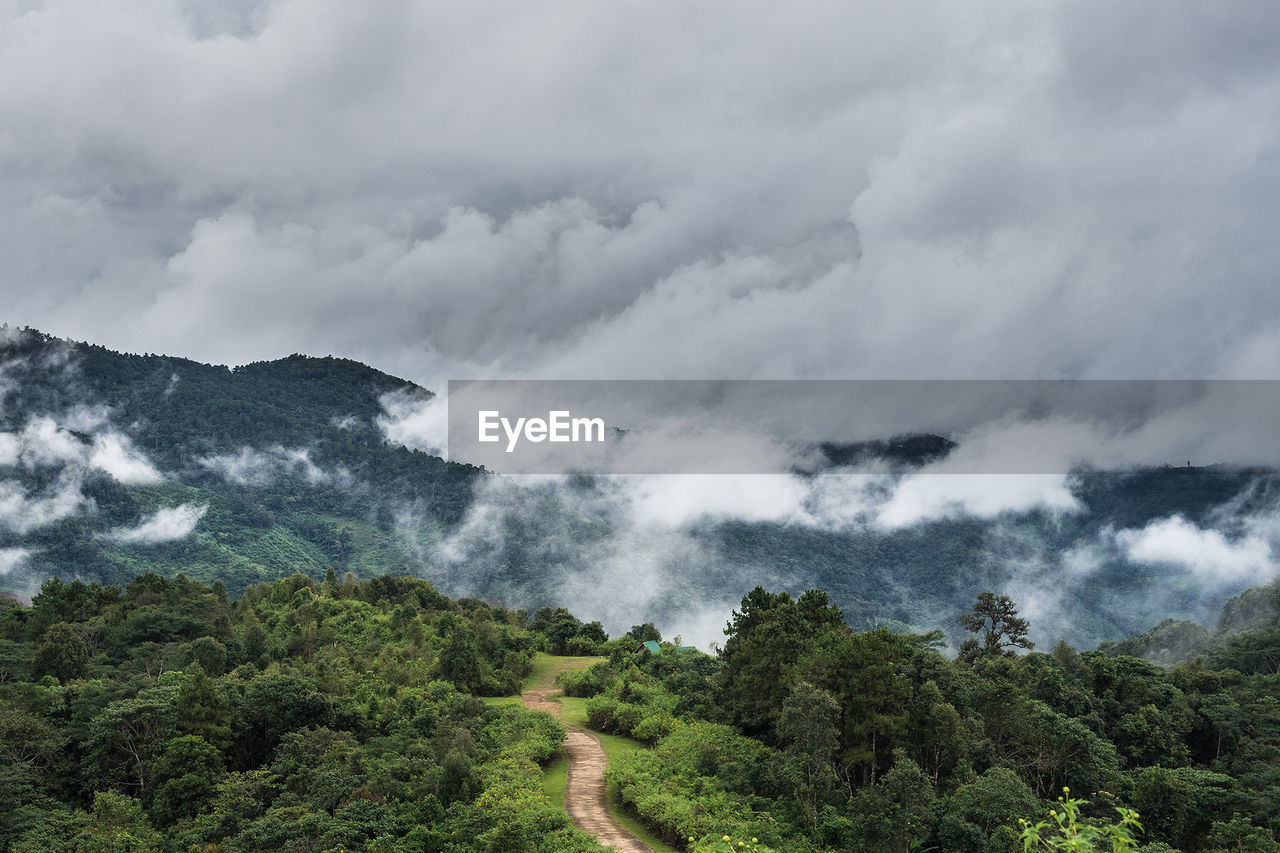 Low angle view of trees on mountain against sky