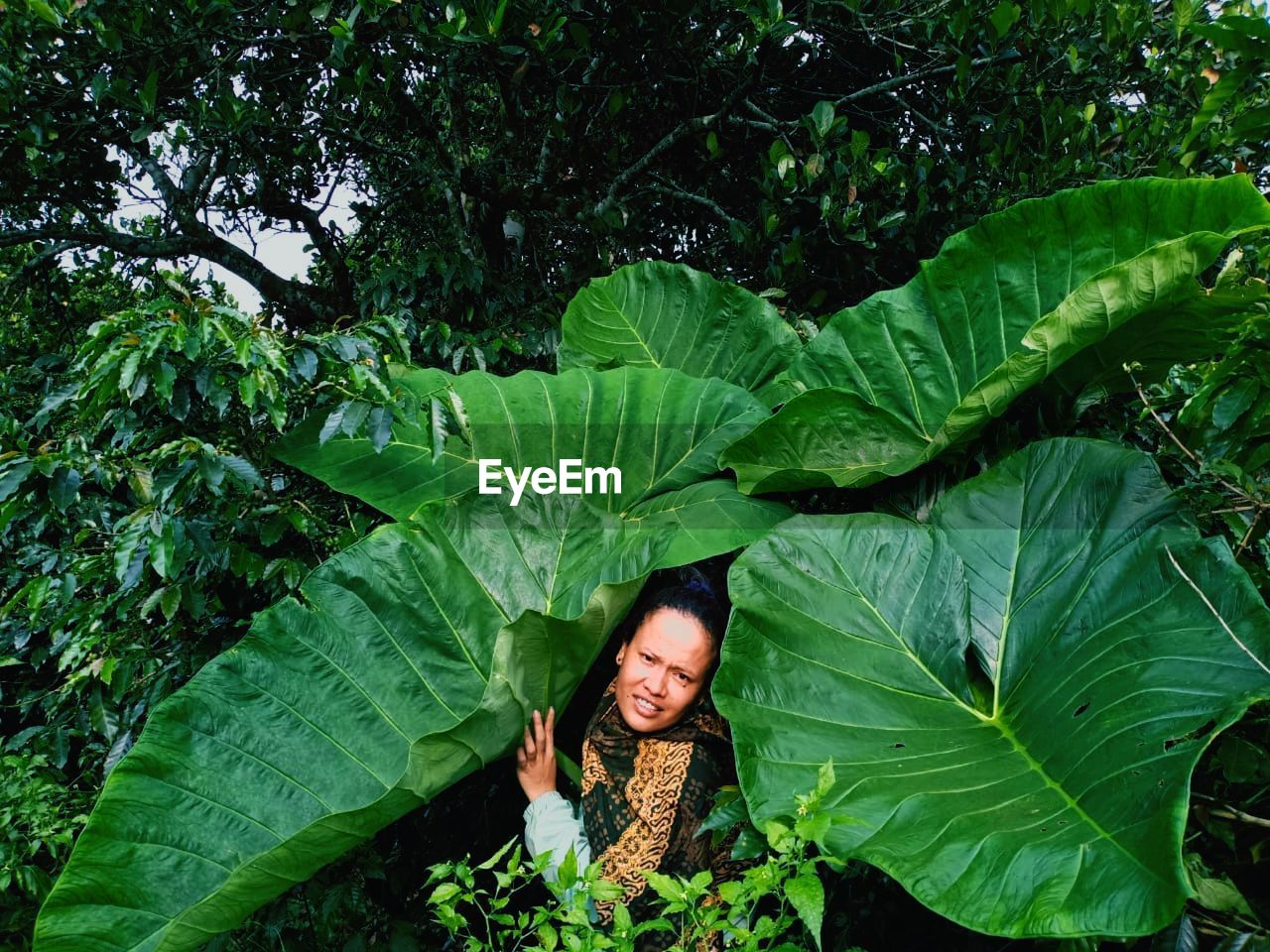 Portrait of a smiling young woman in huge plant