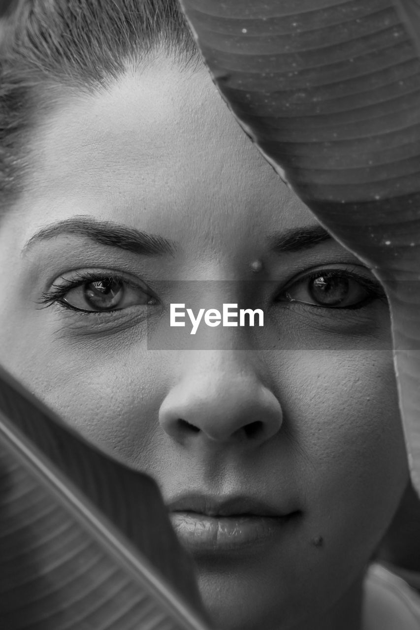 Close-up portrait of woman by leaves