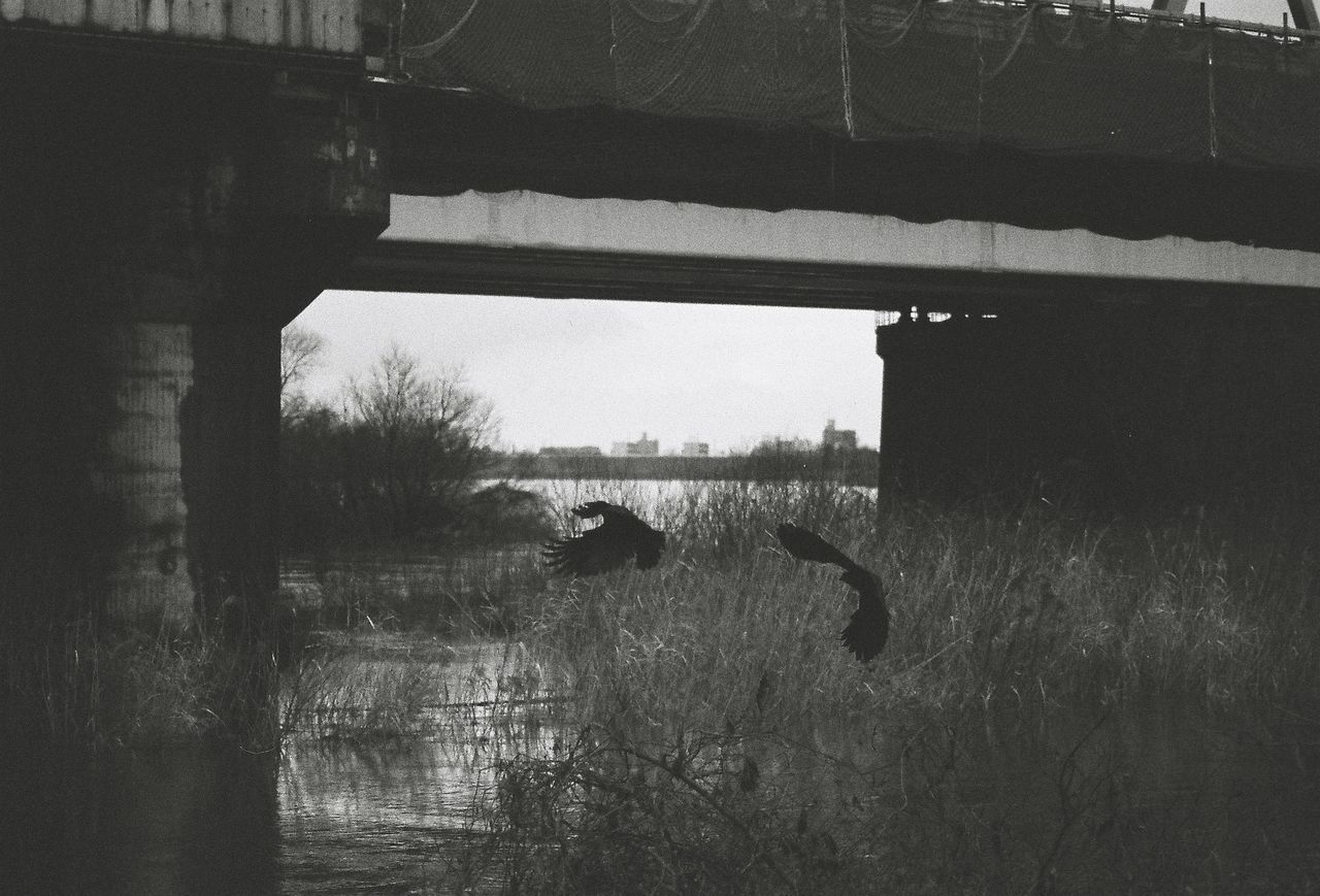 VIEW OF BUILT STRUCTURES IN WATER