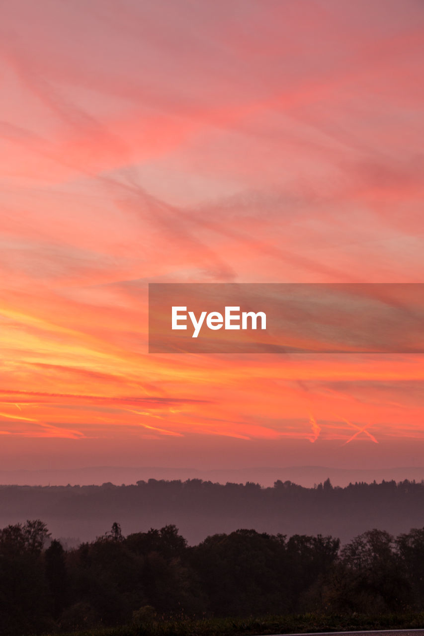 SCENIC VIEW OF DRAMATIC SKY OVER SILHOUETTE TREES