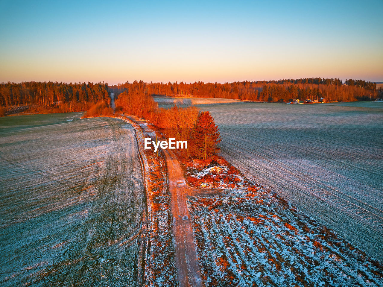 Winter green agricultural field winter crops  snow. tree december sunset aerial scene. rural road