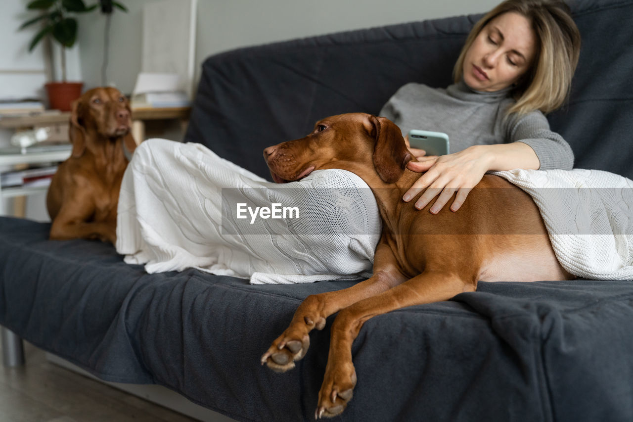 Full length of woman using mobile phone sitting with dogs sitting on sofa at home