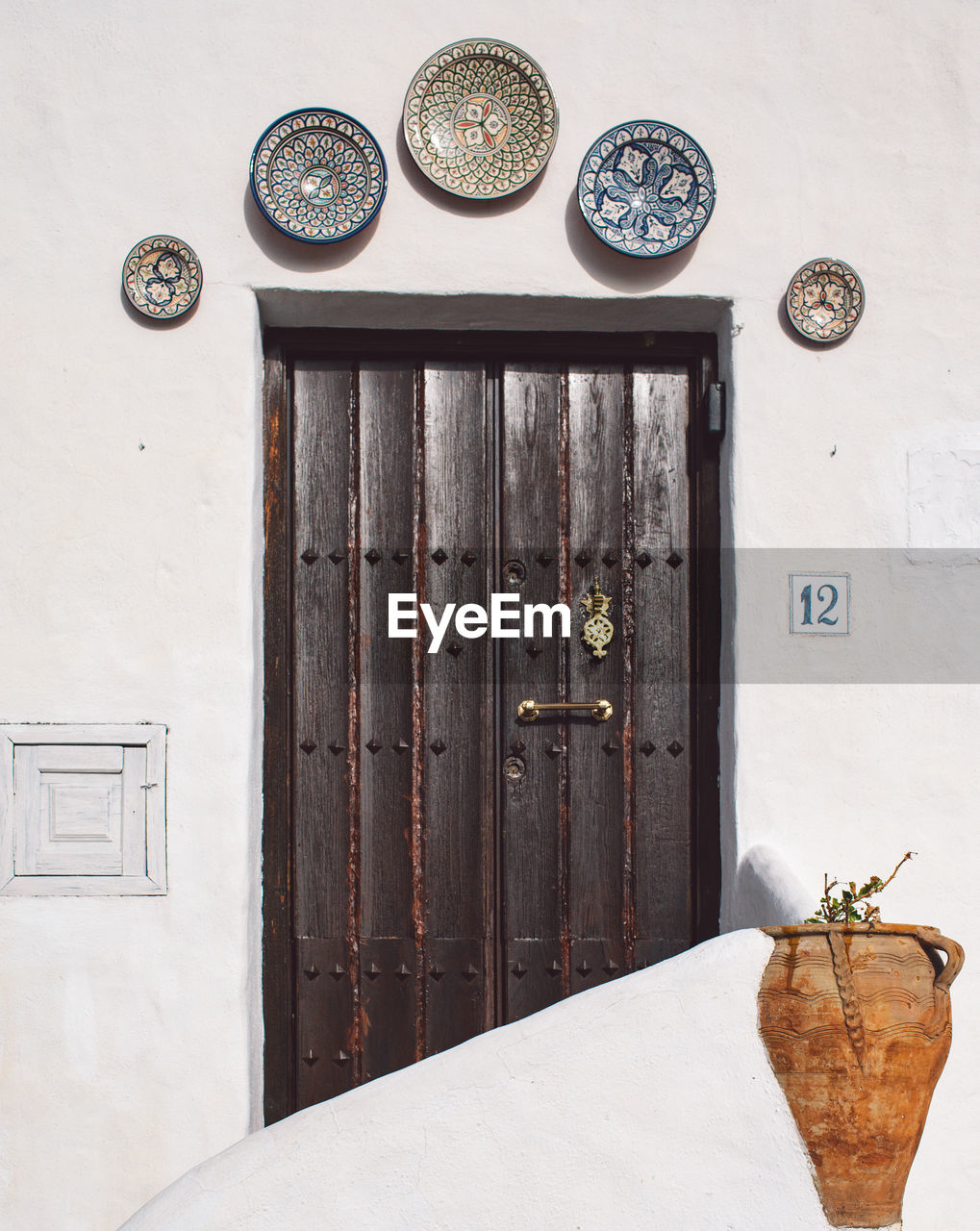 Potted plants on wall of building