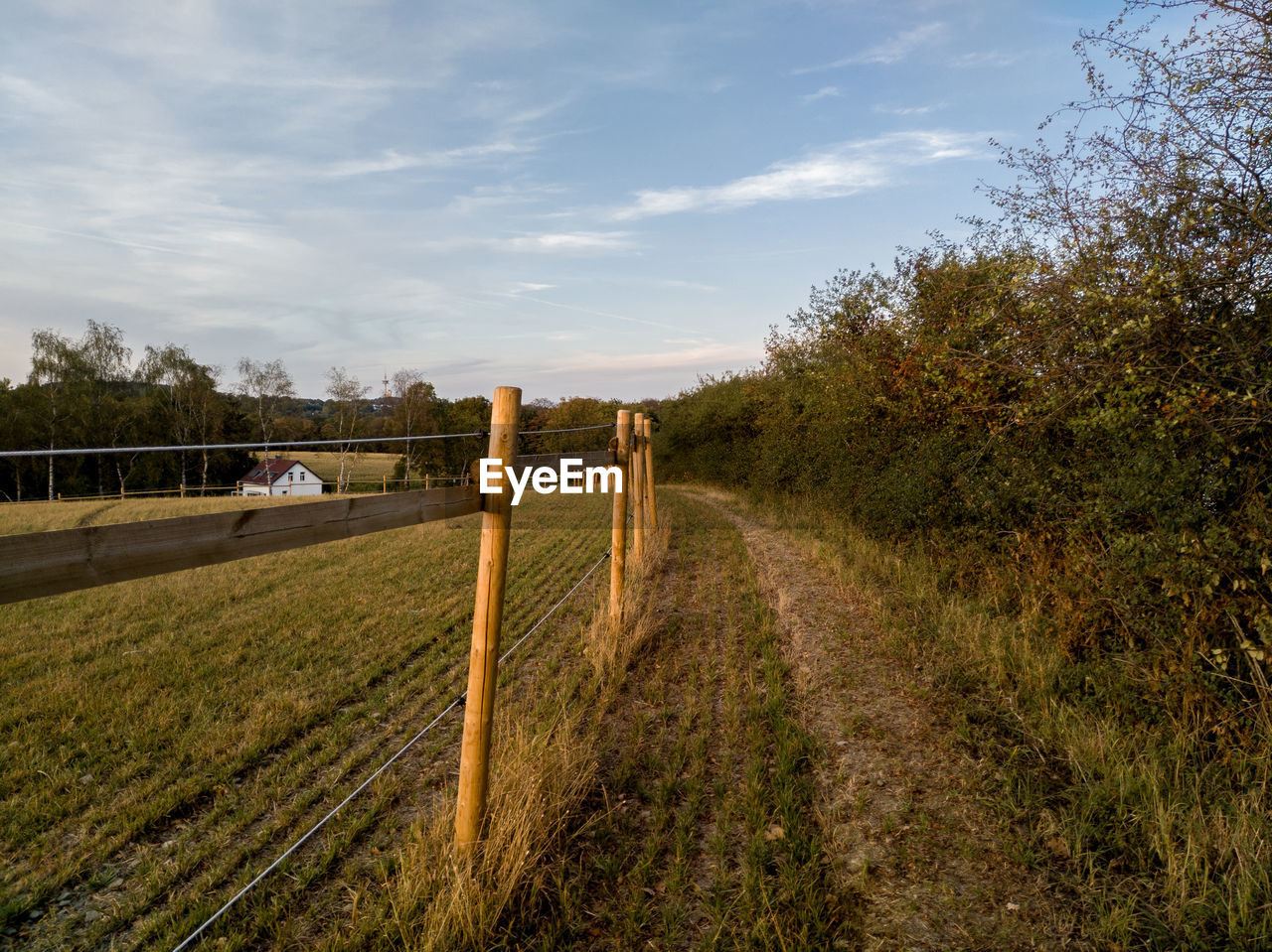 DIRT ROAD PASSING THROUGH FIELD