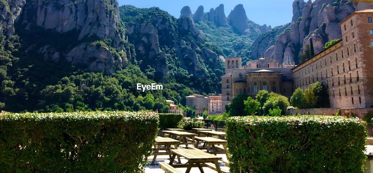 Panoramic view of trees and mountains