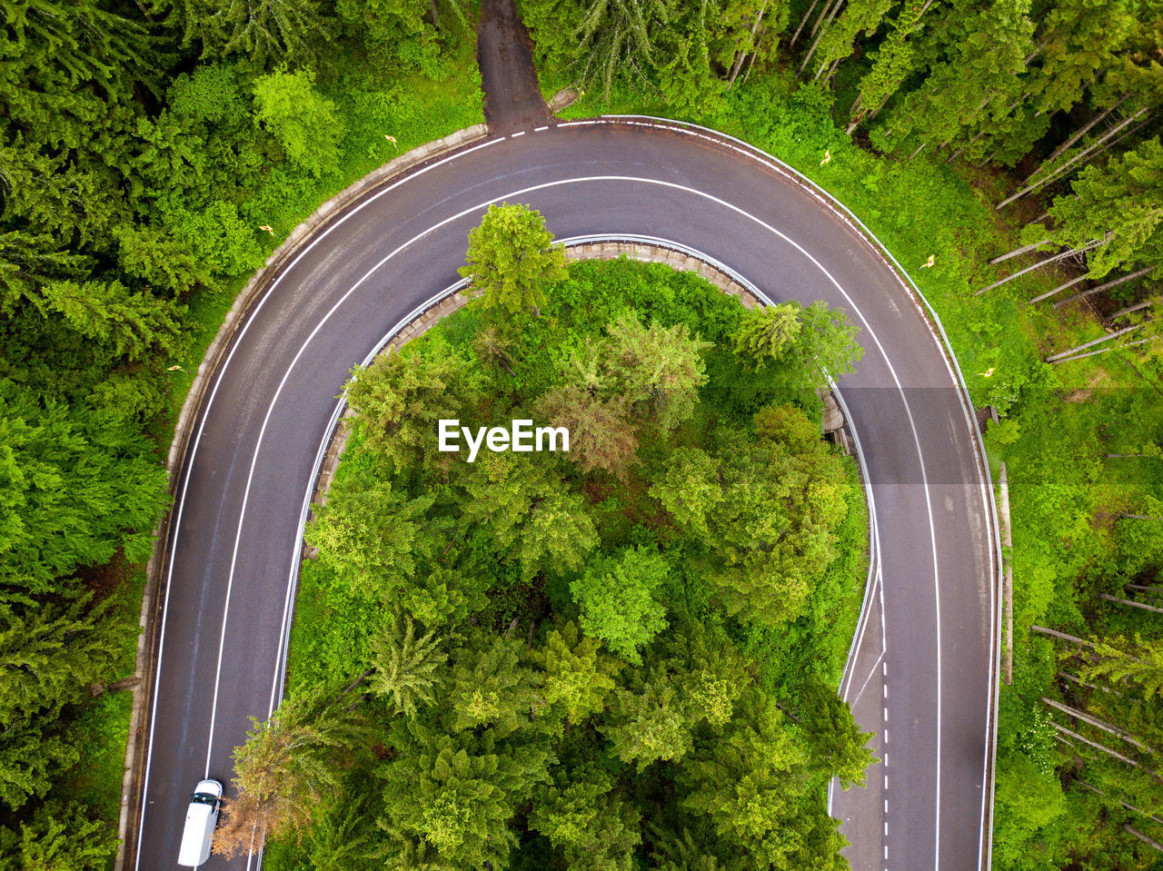 HIGH ANGLE VIEW OF ROAD AMIDST TREES